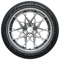 Anvelope Habilead AW33 215/60 R17 96H Iarnă / Autoturism photo 3