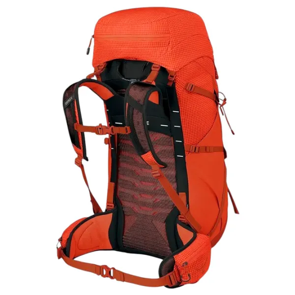 Rucsac pentru turism Osprey Talon Pro 40 Pentru trekking / 40l photo 3