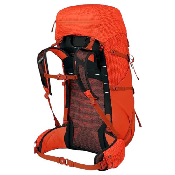 Rucsac pentru turism Osprey Talon Pro 40 Pentru trekking / 40l photo 3