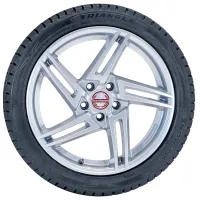 Шины Triangle PL02 275/35 R19 100W Зимние / Легковой photo 2