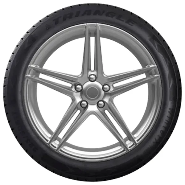 Anvelope Triangle TW401 195/55 R20 95H Iarnă / Autoturism photo 2