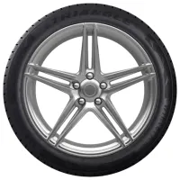 Шины Triangle TW401 195/55 R20 95H Зимние / Легковой photo 2