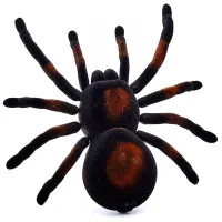 Jucărie radiocomandată Lulu Tarantula Black photo 4