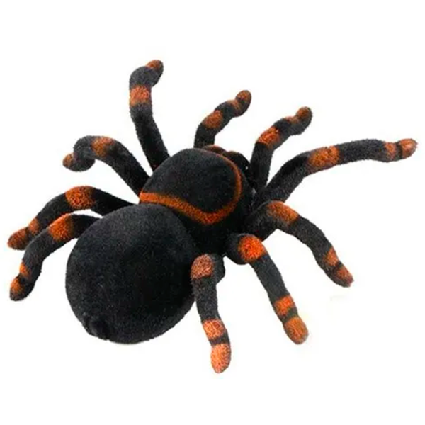 Радиоуправляемая игрушка Lulu Tarantula  Черный photo 4