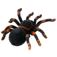 Радиоуправляемая игрушка Lulu Tarantula Черный photo 4
