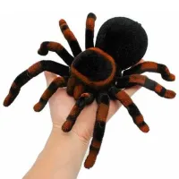 Радиоуправляемая игрушка Lulu Tarantula Черный photo 6