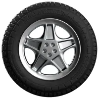 Шины Michelin Agilis CrossClimate 205/75 R16C 113R Всесезонные / Легкогрузовой photo 3