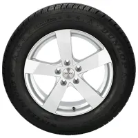 Шины Dunlop Winter Sport 5 SUV 215/55 R18 99V Зимние / Внедорожник photo 2