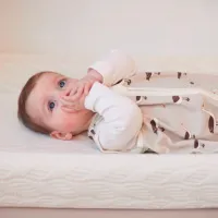 Спальный мешок Jollein Goose Nougat Муслин, / Унисекс photo 2