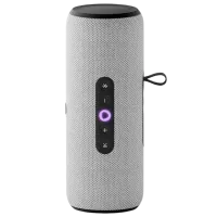 Портативная колонка Yandex Street 30 Вт/ Серый