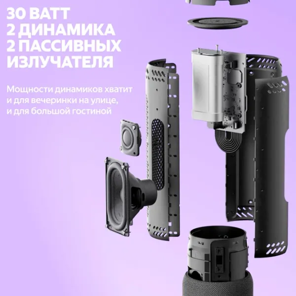 Портативная колонка Yandex Street 30 Вт/ Пурпурный photo 6