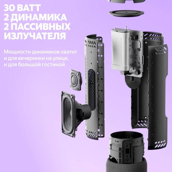 Портативная колонка Yandex Street 30 Вт/ Пурпурный photo 6