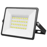 Прожекторы DYLLU DTWX15501 Белый / 5000лм