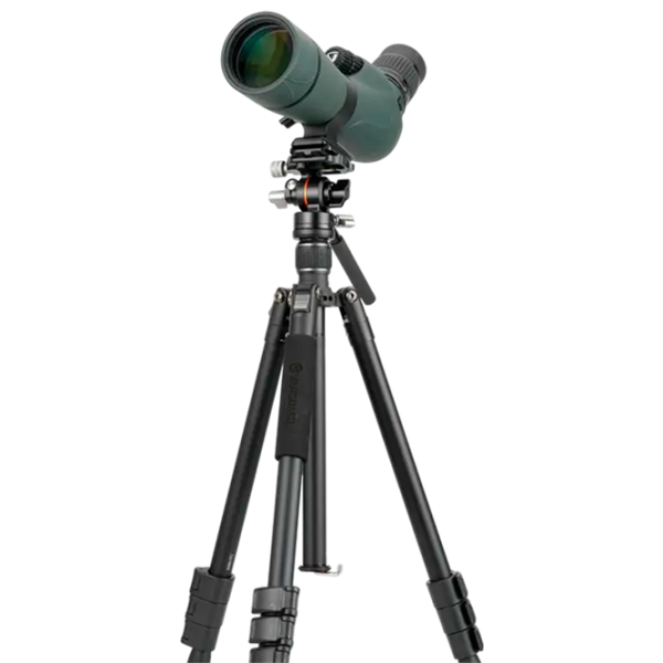 Trepied Vanguard Vesta GO 264AV12 Foto, video / Black photo 10