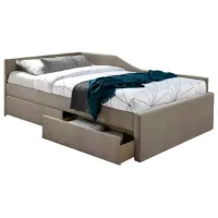 Pat Signal Eliot Velvet 120 x 200 cm / Masiv / Dark Beige