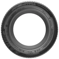 Шины Maxxis Premitra All Season AP3 245/40 R19 98W XL Зимние / Легковой photo 3