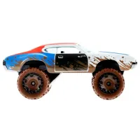 Mașină Hot Wheels Mud Runners HFW36 / / Multicolor Multicolor photo 7