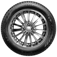 Anvelope Nexen WinGuard Snow G WH2 215/65 R16 98H Iarnă / Autoturism photo 2