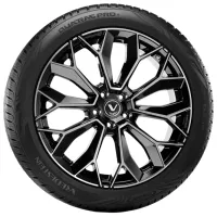 Шины Vredestein Quatrac Pro+ 285/45 R21 113Y XL FSL Всесезонные / Легковой photo 2