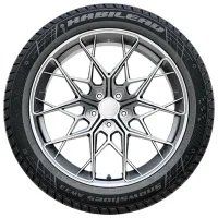 Anvelope Habilead AW33 275/35 R19 100V XL Iarnă / Autoturism photo 3