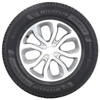 Шины Michelin Pilot Alpin 5 SUV 295/35 R22 108W XL Зимние / Внедорожник photo 2