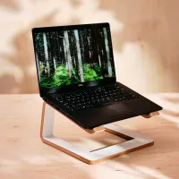 Măsuță pentru laptop Ikea Stenerik White / Furnir photo 4
