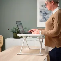 Столики для ноутбуков Ikea Dubbla Белый / ДСП photo 3