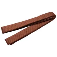 Пояс Arenasport 18050BR Коричневый / 