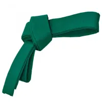 Пояс Arenasport 18050G Зеленый / 