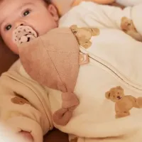 Спальный мешок Jollein Teddy Bear Хлопок, / Для мальчиков photo 6