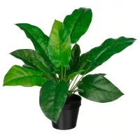 Plantă artificială Ikea Calathea Green / Înălțimea (cm) - 40