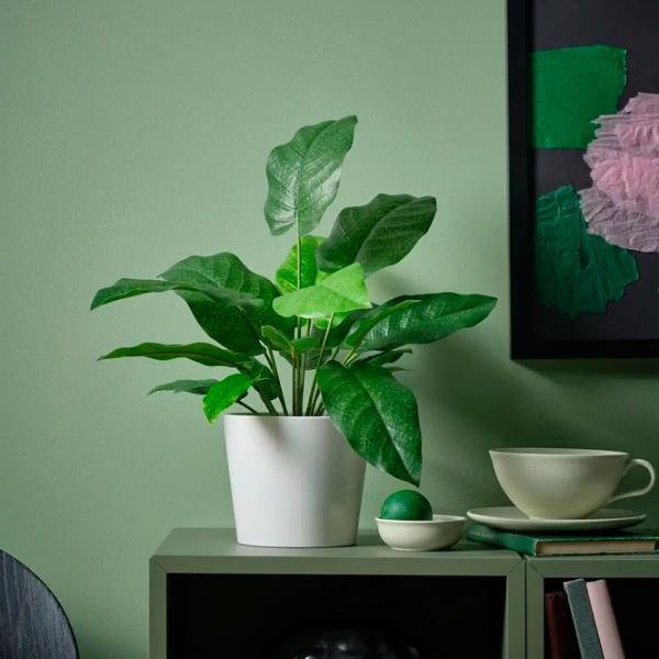 Искусственное растение Ikea Calathea Зеленый / Высота (см) - 40 photo 2 Искусственное растение Ikea Calathea Зеленый / Высота (см) - 40 photo 2
