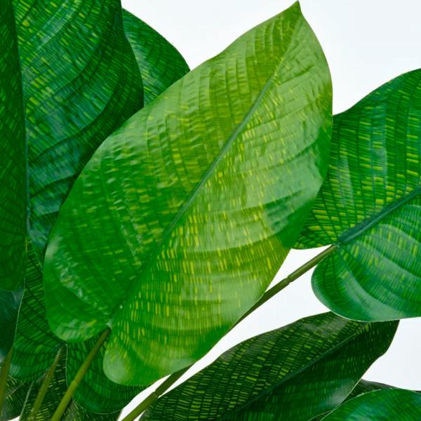 Искусственное растение Ikea Calathea Зеленый / Высота (см) - 40 photo 3 Искусственное растение Ikea Calathea Зеленый / Высота (см) - 40 photo 3