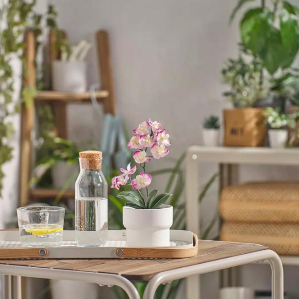 Искусственное растение Ikea Fejka Пурпурный / Высота (см) - 24 photo 3 Искусственное растение Ikea Fejka Пурпурный / Высота (см) - 24 photo 3