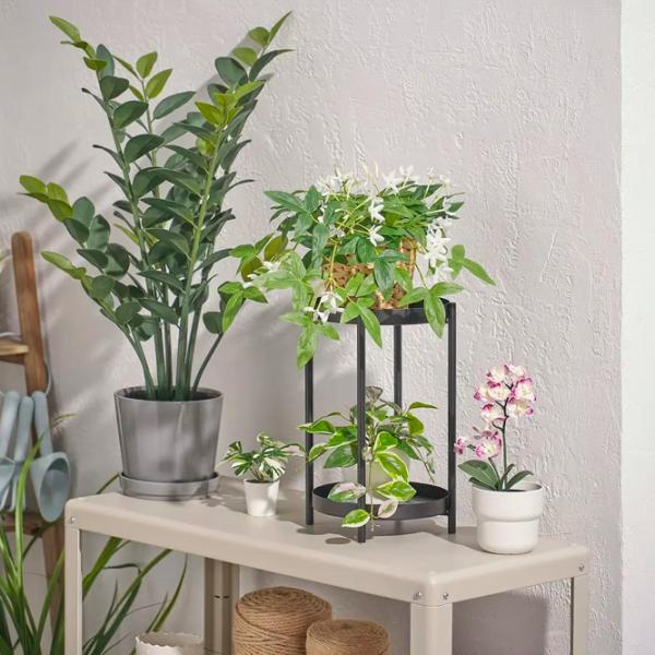 Искусственное растение Ikea Fejka Пурпурный / Высота (см) - 24 photo 4 Искусственное растение Ikea Fejka Пурпурный / Высота (см) - 24 photo 4