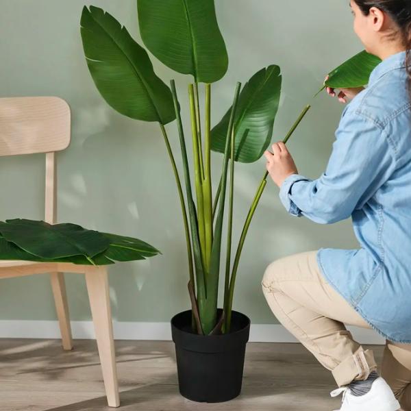 Искусственное растение Ikea Fejka Зеленый / Высота (см) - 180 photo 4 Искусственное растение Ikea Fejka Зеленый / Высота (см) - 180 photo 4