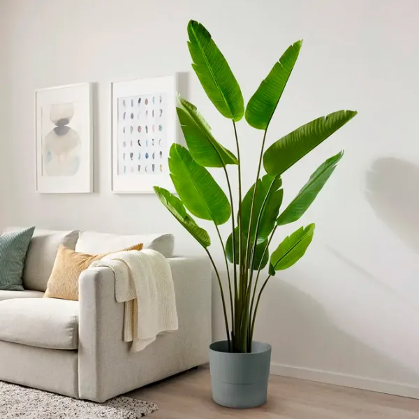 Искусственное растение Ikea Fejka Зеленый / Высота (см) - 180 photo 5 Искусственное растение Ikea Fejka Зеленый / Высота (см) - 180 photo 5