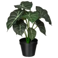 Plantă artificială Ikea Fejka Green / Înălțimea (cm) - 30