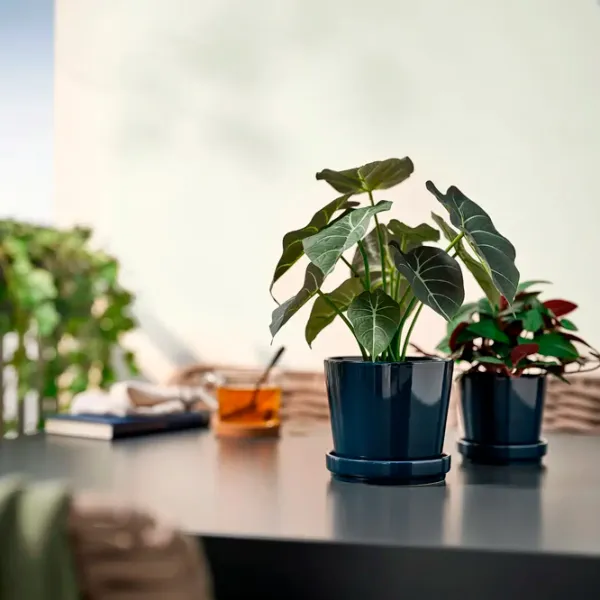 Искусственное растение Ikea Fejka Зеленый / Высота (см) - 30 photo 4 Искусственное растение Ikea Fejka Зеленый / Высота (см) - 30 photo 4
