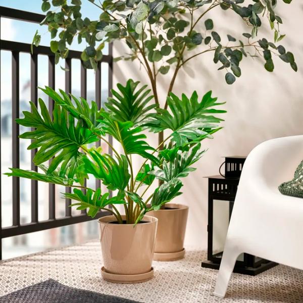 Искусственное растение Ikea Fejka Зеленый / Высота (см) - 75 photo 4 Искусственное растение Ikea Fejka Зеленый / Высота (см) - 75 photo 4