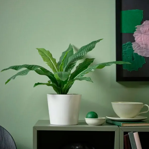 Искусственное растение Ikea Fejka Зеленый / Высота (см) - 40 photo 2 Искусственное растение Ikea Fejka Зеленый / Высота (см) - 40 photo 2
