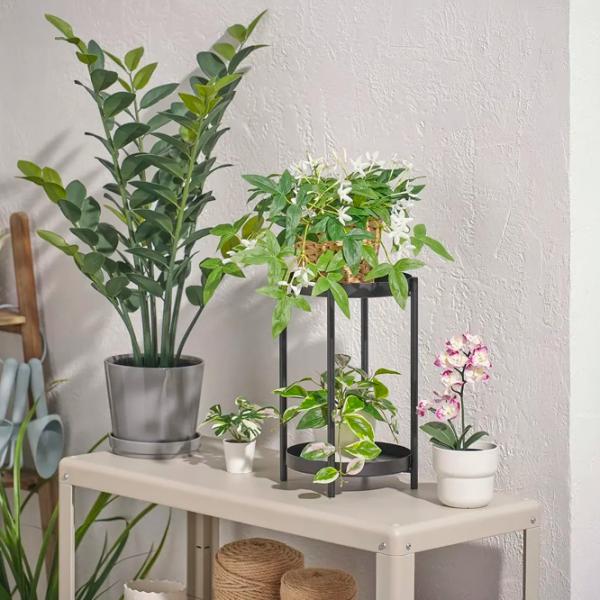 Искусственное растение Ikea Fejka Зеленый / Высота (см) - 38 photo 3 Искусственное растение Ikea Fejka Зеленый / Высота (см) - 38 photo 3