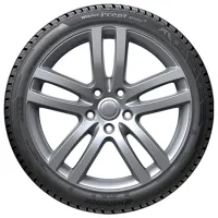 Шины Hankook Winter I*cept Evo3 W330 225/60 R17 103V XL Зимние / Легковой photo 3