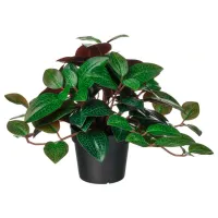 Plantă artificială Ikea Fejka Green / Înălțimea (cm) - 20