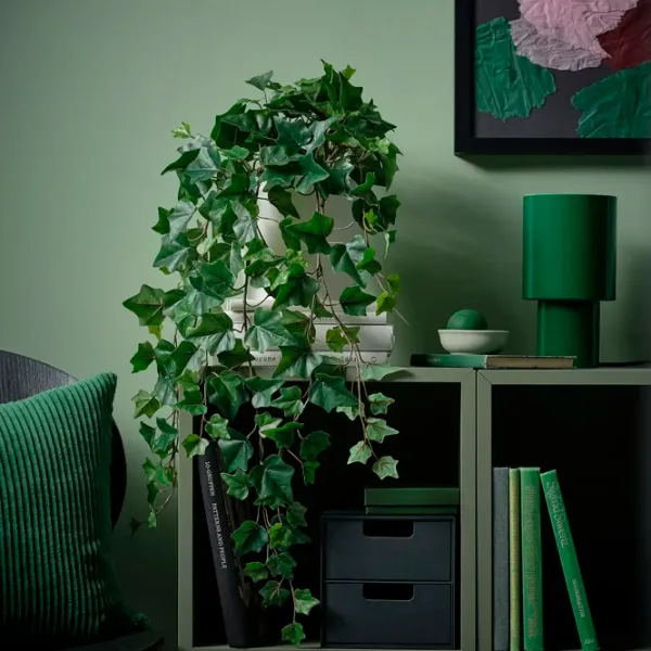 Искусственное растение Ikea Fejka Зеленый / Высота (см) -  photo 2 Искусственное растение Ikea Fejka Зеленый / Высота (см) -  photo 2