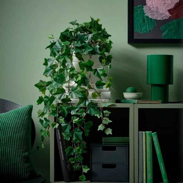 Искусственное растение Ikea Fejka Зеленый / Высота (см) -  photo 2 Искусственное растение Ikea Fejka Зеленый / Высота (см) -  photo 2