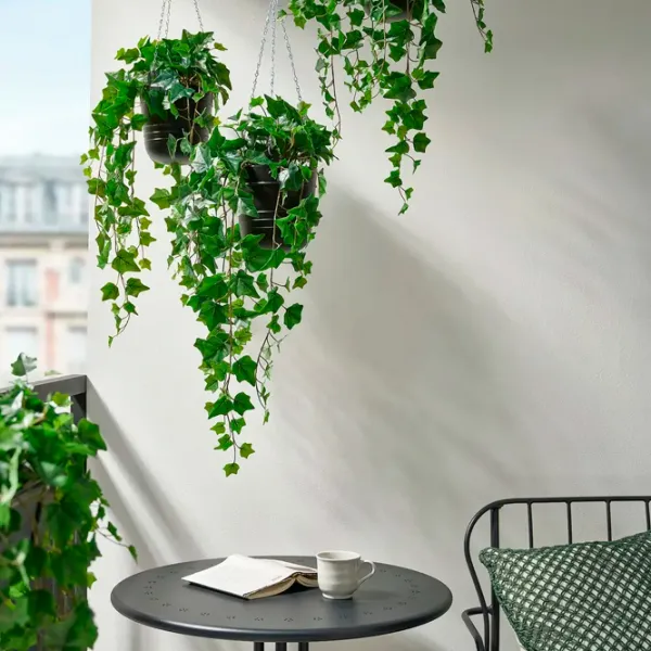 Искусственное растение Ikea Fejka Зеленый / Высота (см) -  photo 4 Искусственное растение Ikea Fejka Зеленый / Высота (см) -  photo 4