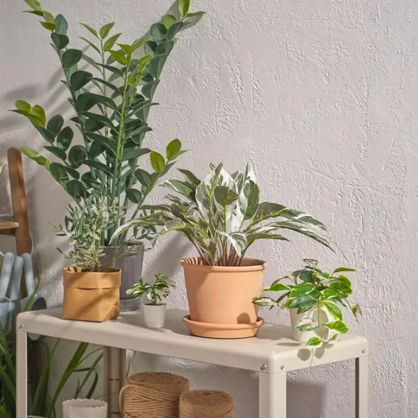 Искусственное растение Ikea Fejka Зеленый / Высота (см) - 40 photo 4 Искусственное растение Ikea Fejka Зеленый / Высота (см) - 40 photo 4