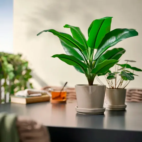 Искусственное растение Ikea Fejka Зеленый / Высота (см) - 50 photo 2 Искусственное растение Ikea Fejka Зеленый / Высота (см) - 50 photo 2