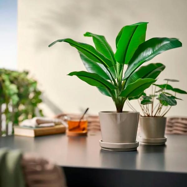 Искусственное растение Ikea Fejka Зеленый / Высота (см) - 50 photo 2 Искусственное растение Ikea Fejka Зеленый / Высота (см) - 50 photo 2